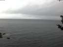 ./images/koeye/fitz-hugh/20181101/fitz-hugh20181101_082501.jpg