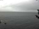 ./images/koeye/fitz-hugh/20181101/fitz-hugh20181101_085502.jpg