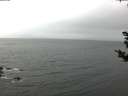 ./images/koeye/fitz-hugh/20181101/fitz-hugh20181101_091502.jpg