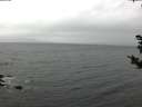 ./images/koeye/fitz-hugh/20181101/fitz-hugh20181101_094002.jpg