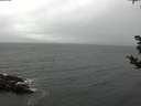 ./images/koeye/fitz-hugh/20181101/fitz-hugh20181101_124502.jpg