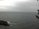 ./images/koeye/fitz-hugh/20181101/fitz-hugh20181101_132501.jpg