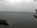 ./images/koeye/fitz-hugh/20181101/fitz-hugh20181101_150502.jpg