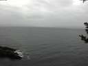 ./images/koeye/fitz-hugh/20181101/fitz-hugh20181101_152502.jpg