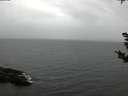 ./images/koeye/fitz-hugh/20181101/fitz-hugh20181101_154002.jpg