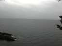 ./images/koeye/fitz-hugh/20181101/fitz-hugh20181101_154502.jpg
