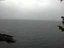./images/koeye/fitz-hugh/20181101/fitz-hugh20181101_160501.jpg