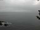 ./images/koeye/fitz-hugh/20181101/fitz-hugh20181101_174001.jpg