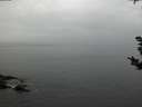./images/koeye/fitz-hugh/20181101/fitz-hugh20181101_175001.jpg
