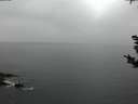 ./images/koeye/fitz-hugh/20181101/fitz-hugh20181101_175501.jpg