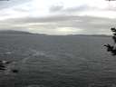 ./images/koeye/fitz-hugh/20181102/fitz-hugh20181102_102501.jpg