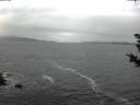 ./images/koeye/fitz-hugh/20181102/fitz-hugh20181102_104001.jpg