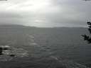 ./images/koeye/fitz-hugh/20181102/fitz-hugh20181102_104501.jpg