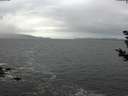 ./images/koeye/fitz-hugh/20181102/fitz-hugh20181102_105001.jpg