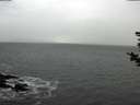./images/koeye/fitz-hugh/20181102/fitz-hugh20181102_121501.jpg