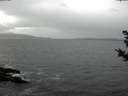 ./images/koeye/fitz-hugh/20181102/fitz-hugh20181102_124502.jpg