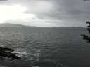 ./images/koeye/fitz-hugh/20181102/fitz-hugh20181102_125502.jpg