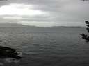 ./images/koeye/fitz-hugh/20181102/fitz-hugh20181102_131002.jpg
