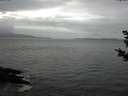 ./images/koeye/fitz-hugh/20181102/fitz-hugh20181102_132001.jpg