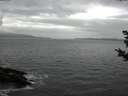./images/koeye/fitz-hugh/20181102/fitz-hugh20181102_132501.jpg