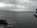 ./images/koeye/fitz-hugh/20181102/fitz-hugh20181102_133501.jpg