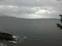 ./images/koeye/fitz-hugh/20181102/fitz-hugh20181102_134001.jpg