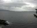 ./images/koeye/fitz-hugh/20181102/fitz-hugh20181102_134501.jpg