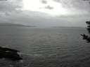 ./images/koeye/fitz-hugh/20181102/fitz-hugh20181102_140001.jpg