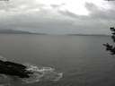 ./images/koeye/fitz-hugh/20181102/fitz-hugh20181102_140501.jpg