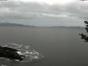 ./images/koeye/fitz-hugh/20181102/fitz-hugh20181102_141501.jpg