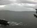 ./images/koeye/fitz-hugh/20181102/fitz-hugh20181102_142501.jpg