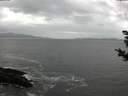./images/koeye/fitz-hugh/20181102/fitz-hugh20181102_143501.jpg