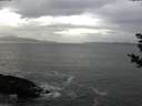 ./images/koeye/fitz-hugh/20181102/fitz-hugh20181102_154002.jpg