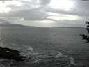 ./images/koeye/fitz-hugh/20181102/fitz-hugh20181102_154502.jpg