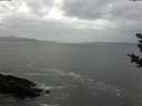 ./images/koeye/fitz-hugh/20181102/fitz-hugh20181102_161002.jpg