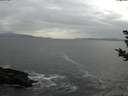 ./images/koeye/fitz-hugh/20181102/fitz-hugh20181102_162501.jpg