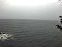./images/koeye/fitz-hugh/20181103/fitz-hugh20181103_090501.jpg