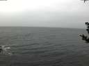 ./images/koeye/fitz-hugh/20181103/fitz-hugh20181103_095502.jpg