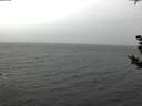 ./images/koeye/fitz-hugh/20181103/fitz-hugh20181103_102501.jpg