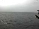 ./images/koeye/fitz-hugh/20181103/fitz-hugh20181103_103501.jpg