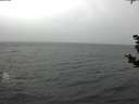 ./images/koeye/fitz-hugh/20181103/fitz-hugh20181103_104001.jpg