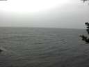 ./images/koeye/fitz-hugh/20181103/fitz-hugh20181103_104501.jpg
