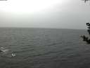 ./images/koeye/fitz-hugh/20181103/fitz-hugh20181103_105001.jpg