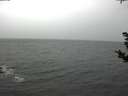 ./images/koeye/fitz-hugh/20181103/fitz-hugh20181103_105501.jpg