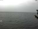 ./images/koeye/fitz-hugh/20181103/fitz-hugh20181103_110501.jpg