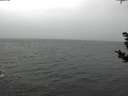 ./images/koeye/fitz-hugh/20181103/fitz-hugh20181103_111501.jpg