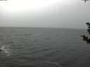 ./images/koeye/fitz-hugh/20181103/fitz-hugh20181103_112001.jpg