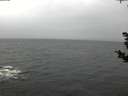 ./images/koeye/fitz-hugh/20181103/fitz-hugh20181103_113501.jpg