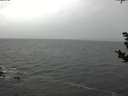 ./images/koeye/fitz-hugh/20181103/fitz-hugh20181103_114501.jpg