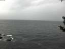 ./images/koeye/fitz-hugh/20181103/fitz-hugh20181103_121502.jpg
